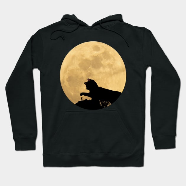 The Cat and the Moon Hoodie by madmonkey